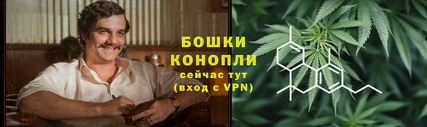 шишки Аркадак