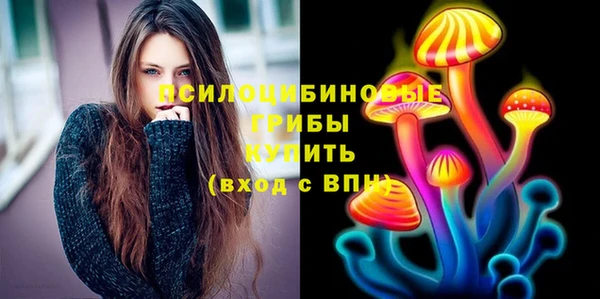 спиды Алексеевка