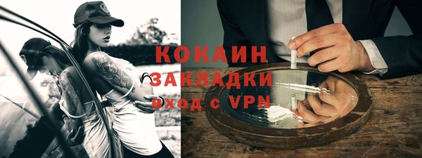 шишки Аркадак